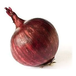 Onion